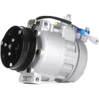 RIDEX 447K0010 Aircopomp
