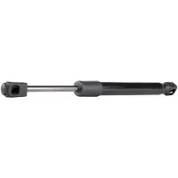 RIDEX 219G0620 Gasveer achterklep