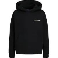 Jack & Jones Sweatshirt 'JORGREENPOINT' | 176 | boy