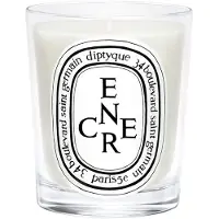 Diptyque - Encre 190g - Scented Candle - Spicy Geurkaars