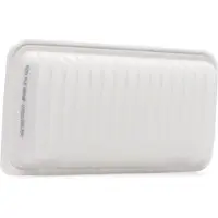 RIDEX 8A0028P Luchtfilter