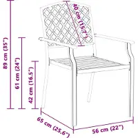 vidaXL Tuinstoel, 2 stuks, antraciet, staal