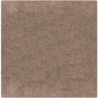 vidaXL Antislip Shaggy Tapijt Bruin 200 x 200 cm PP