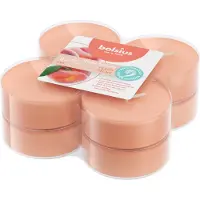 Bolsius Geurtheelicht True Scents Fruitig Oranje 8 Uur D 6 H 2 Cm 8 Stuks