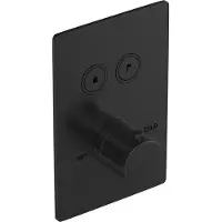 Hotbath Cobber PB009QEXT afbouwdeel inbouwthermostaat met achterplaat en 2 drukknoppen geborsteld zwart PVD