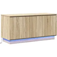 vidaXL TV Kast 100 x 38 x 49 cm Sonoma Eik Bewerkt hout