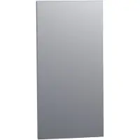 Saniclass spiegel 40x80cm aluminium