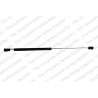 LESJÖFORS 8163419 Gasveer achterklep