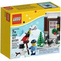 LEGO 40124 winter plezier