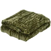 Décoris Plaid Polyester Groen 170x130cm