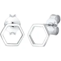 Elli Oorbellen zilver