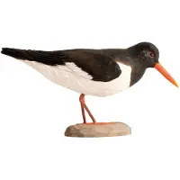 Wildlife Garden DecoBird - Scholekster