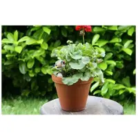 Wildlife Garden DecoBird - Putter