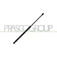 PRASCO RN7009055 Gasveer achterklep
