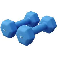 Gorilla Sports Vinyl halterset 2 x 2 kg
