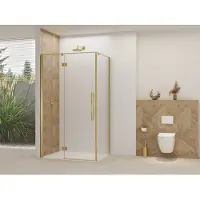 Van Rijn Nisdeur products st07 voor hoekcabine 140x200 cm 8 mm helder glas incl. Beslag, greep en stabilisatiestang geborsteld messing