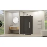 Van Rijn Zijwand Products ST09 tbv Hoekcabine 100x200 cm 8 mm Rookglas Incl. Beslag Geborsteld RVS