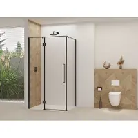Van Rijn Nisdeur Products ST07 Voor Hoekcabine 110x200 cm 8 mm Helder Glas Incl. Beslag, Greep en Stabilisatiestang Mat Zwart