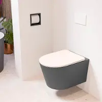 Mondiaz LAVIE hangend toilet single fire rimless diepspoel Dark Grey, Toiletzitting met quick-release & softclose Rosee