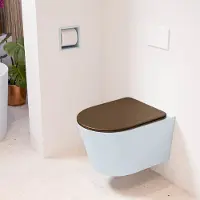 Mondiaz LAVIE hangend toilet single fire rimless diepspoel Clay, Toiletzitting met quick-release & softclose Rust