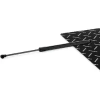 RIDEX 219G1285 Gasveer achterklep