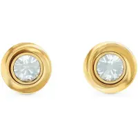 Calvin Klein Oorbellen goud / transparant