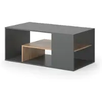 Vicco Edgar Salontafel – 110 x 59 cm Antraciet/gouden eik