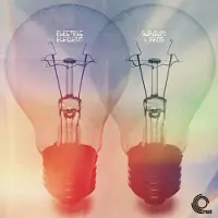 Konkurrent Surman + Krog - Electric Element (LP)