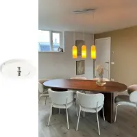 Lightswing Zero - Ophangsysteem voor Hanglamp - 360° draaifunctie - Mat Wit