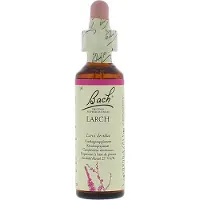 Bach Bloesem No 19 Larch 20 ml Druppels