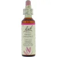 BACH ORIGINAL Bach Bloesem Sweet Chestnut (20ml)