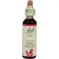 Bach Pine/den 20 ml