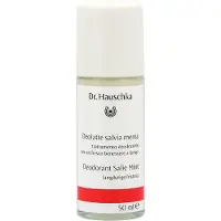 Dr. Hauschka Dr Hauschka Deodorant Salie Mint (50ml)