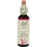 BACH ORIGINAL Bach Bloesem Elm (20ml)