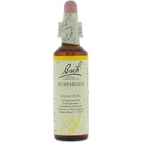 Bach Bloesem No 17 Hornbeam 20 ml Druppels