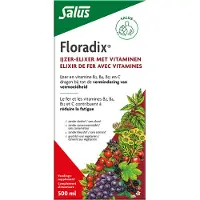 Floradix IJzer-Elixer Met Vitamines (500ml)