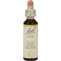 BACH ORIGINAL Bach Bloesem Olive (20ml)