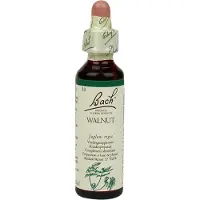 Bach Bloesem Walnut (20ml)
