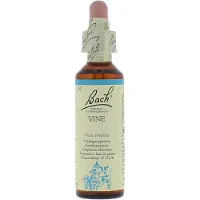 BACH ORIGINAL Bach Bloesem Vine (20ml)
