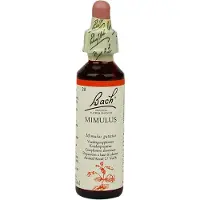 Bach Mimulus/maskerbloem