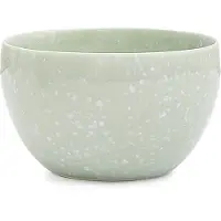 Biotona Matcha bowl green