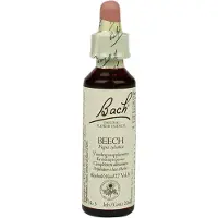 BACH ORIGINAL Bach Bloesem Beech (20ml)