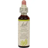 BACH ORIGINAL Bach Bloesem White Chestnut (20ml)