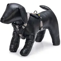 Beeztees Hondentuig Parinca Premium Y-Tuig - Hondenharnas kleine honden - Nylon - Lichtgrijs - 37-40cmx15mm