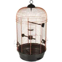 Flamingo Vogelkooi – Parkietenkooi Sanna 2 Koper Zwart – 35x35x67 cm – met zitstokken & eetbakjes – voor parkieten & kanaries