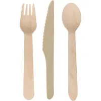 Depa wegwerp bestek - hout - 60 delig - wegwerp - lepels - messen - vorken - 16 cm - BBQ - Verjaardag