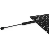 RIDEX 219G1349 Gasveer achterklep