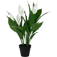 Décoris Kunstplant Lepelplant | | 60 cm (In pot)