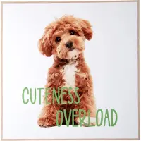 Present Time wall art puppy cuteness overload -