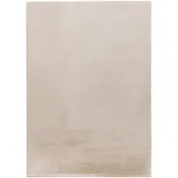 Dutch XXL Zacht Hoogpolig Vloerkleed | Tapijt | Paradise | Crème | 120x170 cm